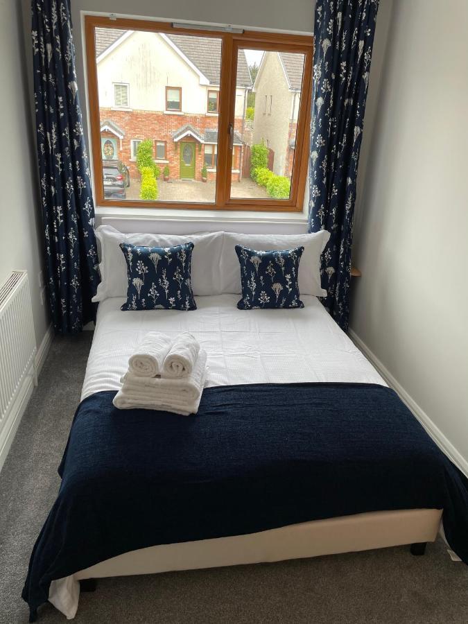 Private Double Room & Bathroom Naas Bagian luar foto